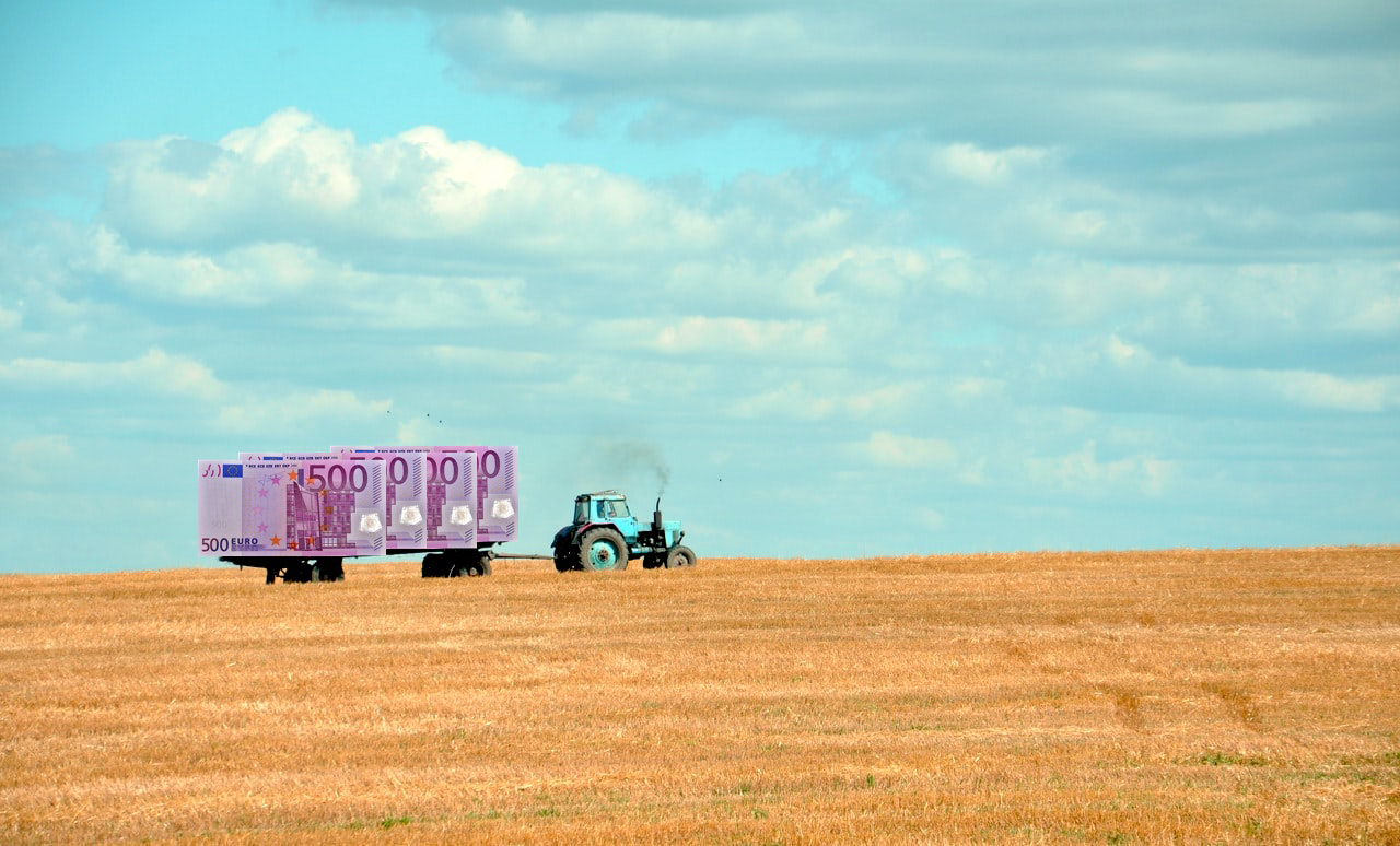 Foto zu Farm Subsidy